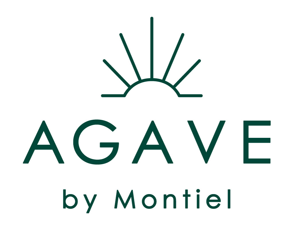 Agave by Montiel 